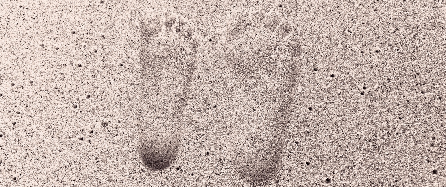 Processed with VSCO with dog1 preset